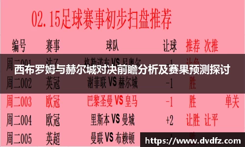 西布罗姆与赫尔城对决前瞻分析及赛果预测探讨