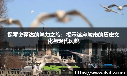 探索奥蓬达的魅力之旅：揭示这座城市的历史文化与现代风貌