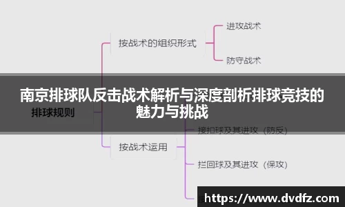 南京排球队反击战术解析与深度剖析排球竞技的魅力与挑战